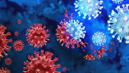 Covid-19 : les départements où Omicron frappe le plus, notre carte de France