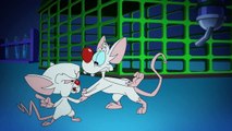 The Animaniacs S03 Promo (HD) Final