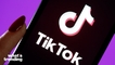TikTok's Record Breaking Year Broken Down