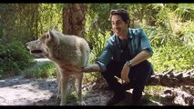 Mystery Lab - Se1 - Ep04 - From Wolf to Dog HD Watch HD Deutsch