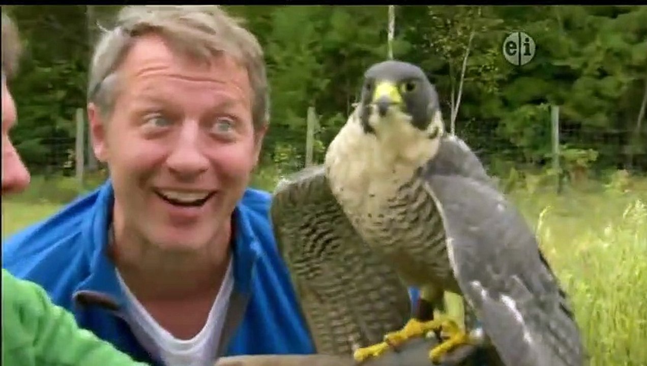 Wild Kratts - Se1 - Ep12 HD Watch HD Deutsch