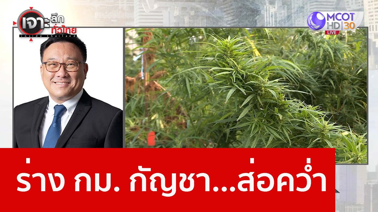 ร่าง กม. กัญชา...ส่อคว่ำ : เจาะลึกทั่วไทย (15 ธ...