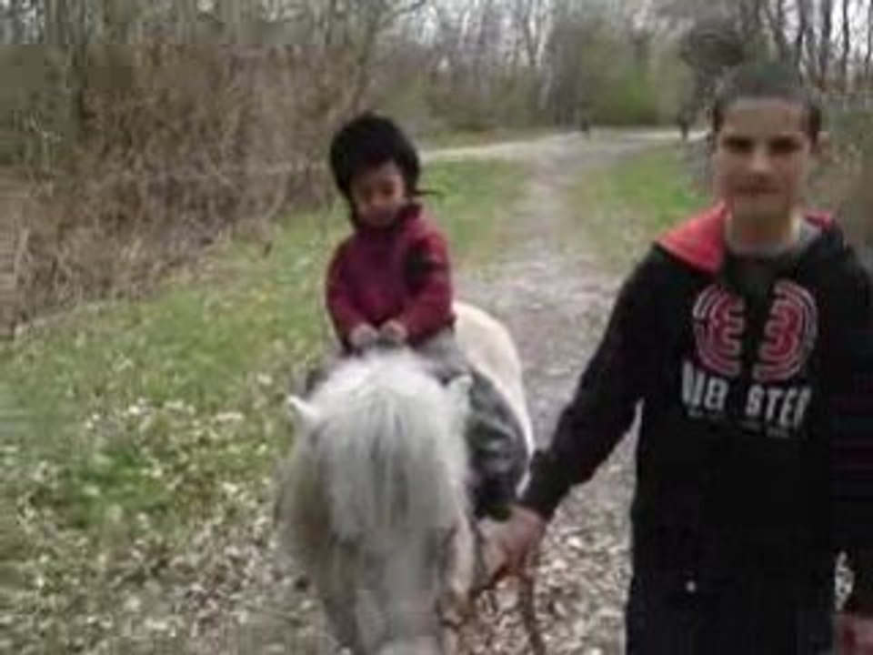 MOV04275