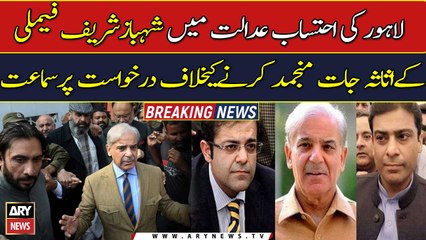 Court hears plea against freezing Shehbaz Sharif. family's assets