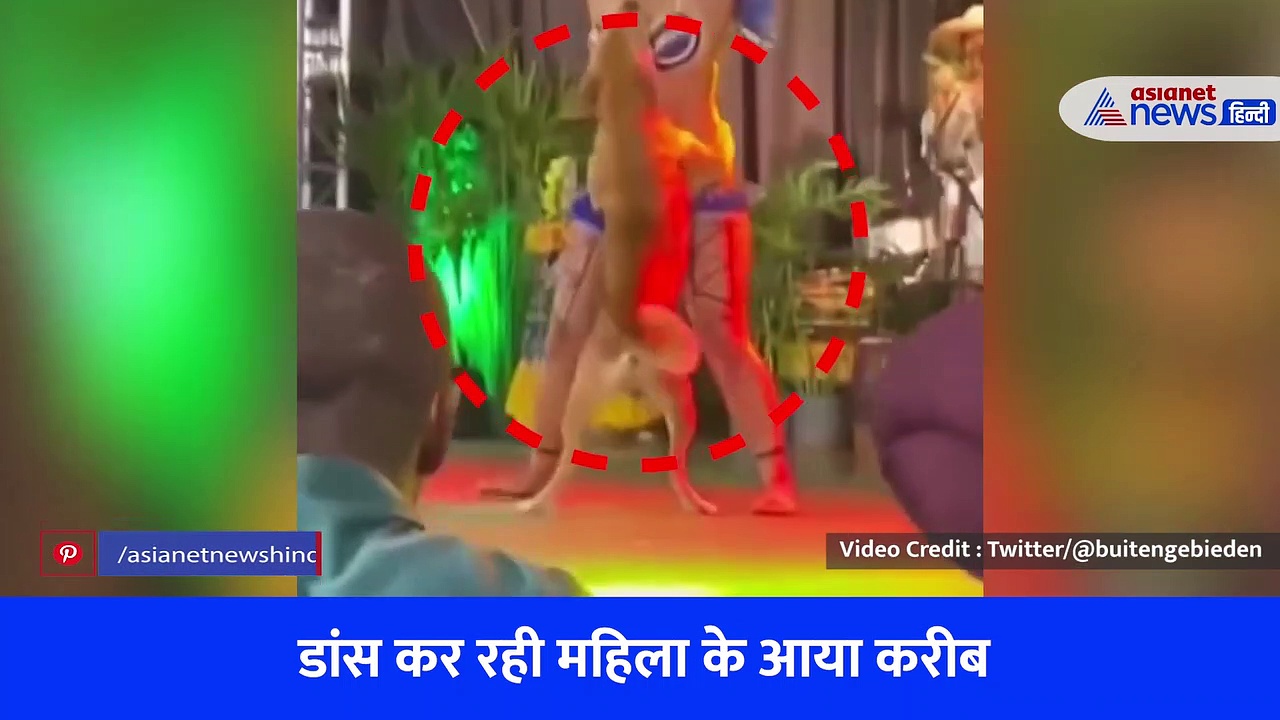Shocking Video: सांस्कृतिक कार्यक्रम के मंच पर डांस कर रही महिला के करीब पहुंचा डॉग, देखें आगे क्या हुआ
