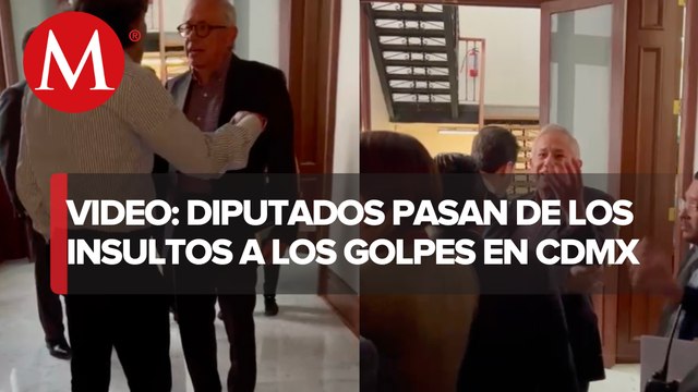 Diputados de CdMx pelean a golpes por Ley de Protección y Bienestar Animal