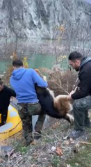 SULARIN YÜKSELDİĞİ YUSUFELİ'NDE MAHSUR KALAN KÖPEK, BOTLA KURTARILDI