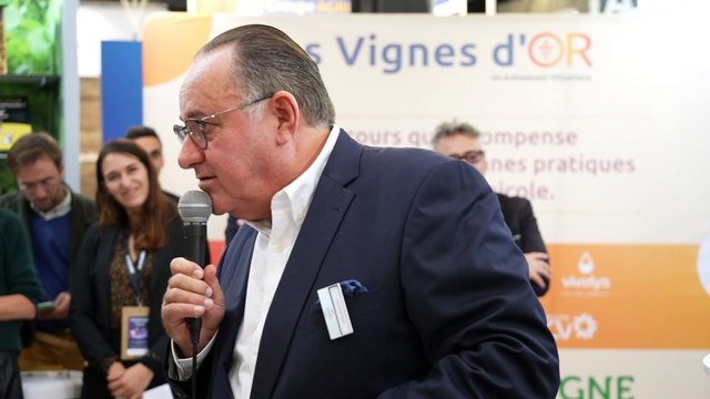 Remise du prix de la catégorie innovation commerciale du trophée Les Vignes d'Or