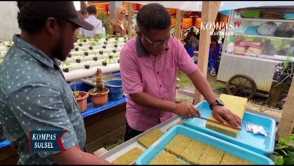 Manfaatkan Pekarangan jadi Lahan Budi Daya Hidroponik