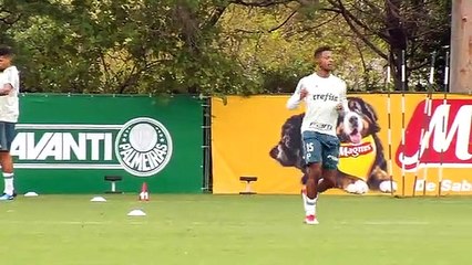 Veja imagens do treino do Palmeiras desta quarta-feira