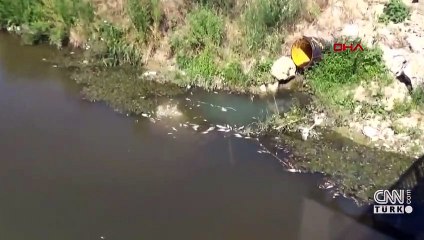 Çevreyi kirleten otelin müdürüne 4 yıl 2 ay hapis