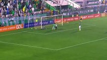 Veja os gols de Chapecoense x Palmeiras no Brasileirão