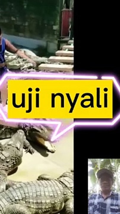 Cewe nekad