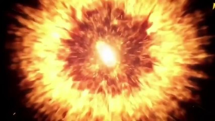 alabai dog vs bear who wins   alabai vs bear   Wild Addiction