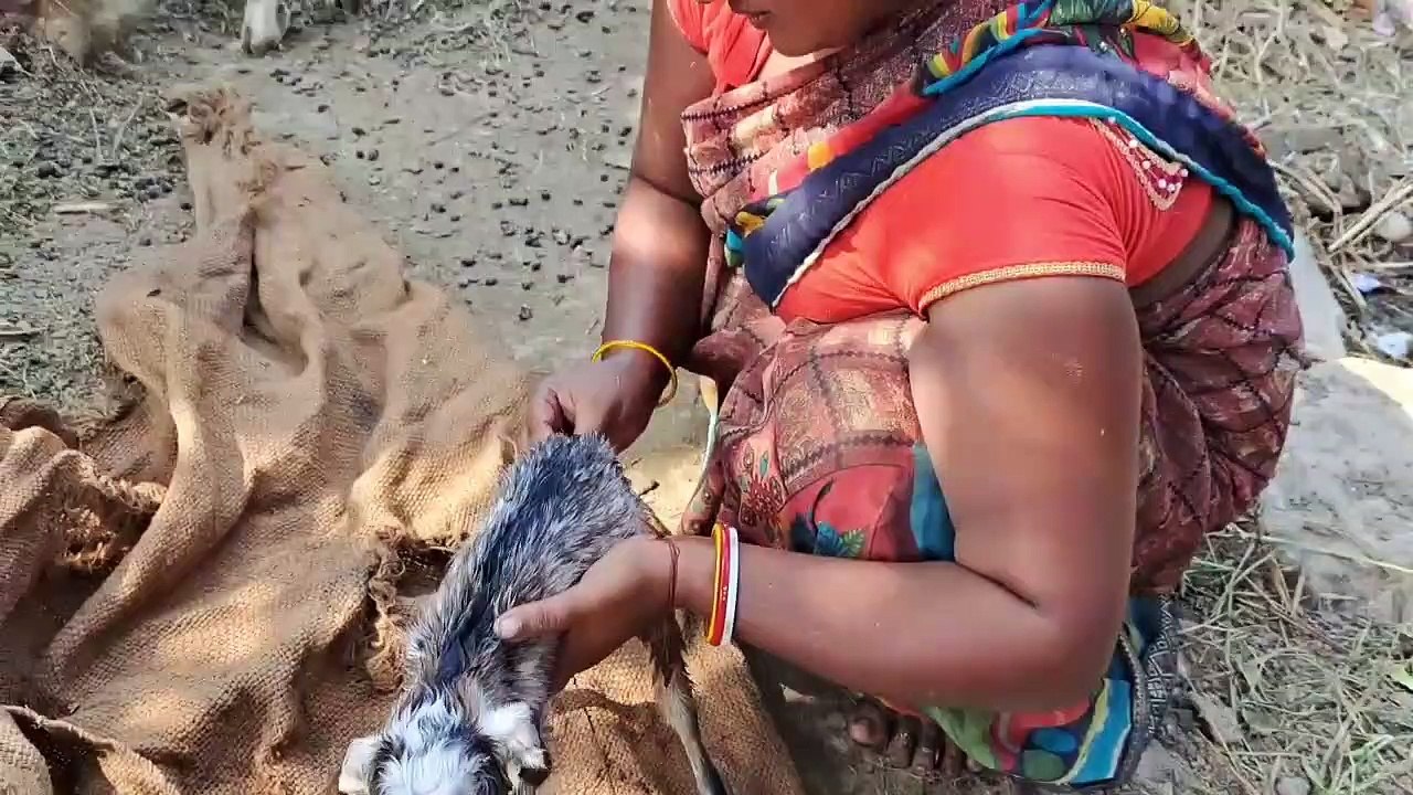Village Vlog (Deewali Time)