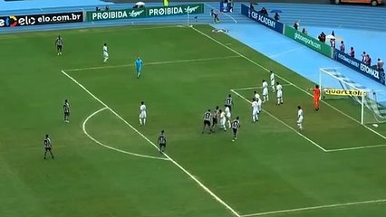 Veja o gol da vitória do Botafogo contra o Corinthians no Engenhão