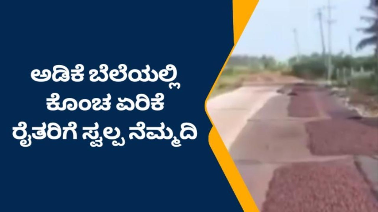 ದಾವಣಗೆರೆ: ಏರಿಕೆ ಕಂಡ ಅಡಿಕೆ ಬೆಲೆ