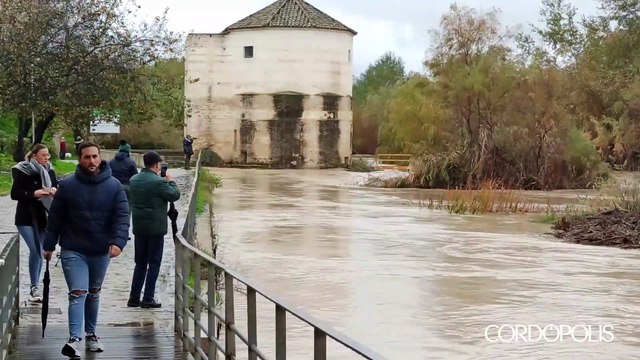 El Guadalquivir, a cinco centímetros de superar el umbral amarillo de riesgo a su paso por Córdoba