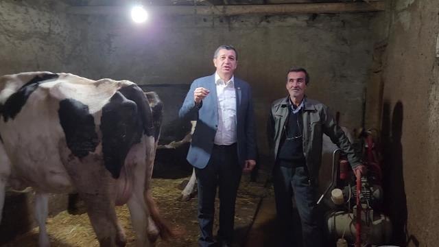 Okan Gaytancıoğlu: Süt Üretimi Yüzde 15 Azaldığına Göre Her 6 İnekten Biri Kesildi