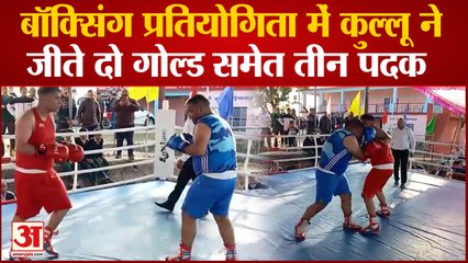 Kullu NEWS: बॉक्सिंग प्रतियोगिता में कुल्लू ने जीते दो गोल्ड समेत तीन पदक