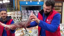 Balıkçıların Karadeniz'de yakaladığı köpek balığı pazarda sergileniyor