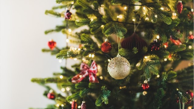 O Tannenbaum umgedichtet: Duisburger Polizei sucht Weihnachtsbaum-Dieb:innen