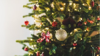 "O Tannenbaum" umgedichtet: Duisburger Polizei sucht Weihnachtsbaum-Dieb:innen