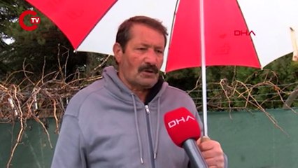 Ankara'da hayvanat bahçesinden kaçan aslan yola indi