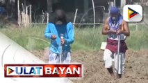 Sen. Go, nanawagan sa pamahalaan na hulihin ang agricultural smugglers