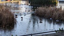 Folkestone mum's frozen pond warning