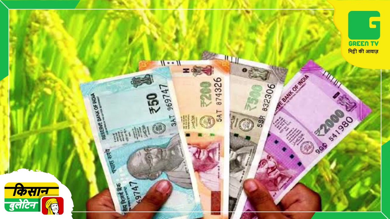 Kisan Bulletin 15 December 2022 - गेहूं के दाम जनवरी में 2 हजार रूपये तक बढ़ सकते हैं, 6 साल के निचले स्तर पर पहुंचा गेहूं भंडार