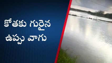 నెల్లూరు జిల్లా: కోతకు గురైన ఉప్పువాగు... మునిగిపోయిన పొలాలు