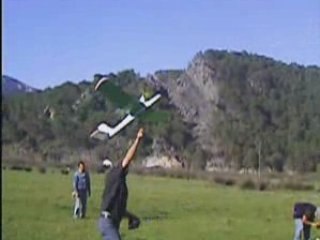 rc plane flight