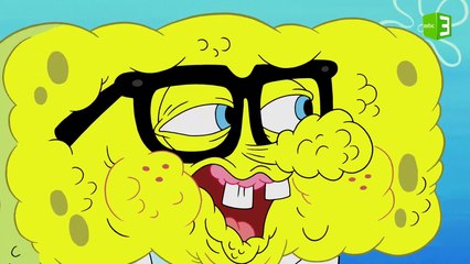 ماذا فعلت قناديل البحر بسبونج بوب وبسيط؟