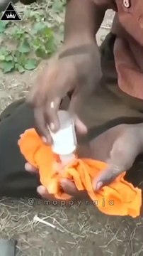 'पतली कमरिया मोरी हाय-हाय' पर बंदरो और कुत्तो ने किया धमाकेदार डांस; देखिए वायरल Video