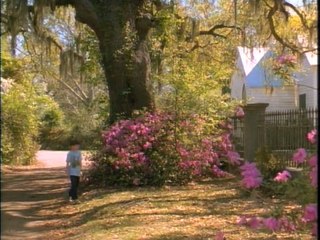 Paradise Bande-annonce (EN)