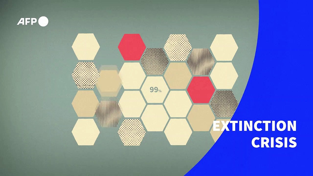 Biodiversity crisis