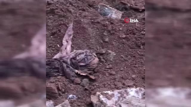 Ev değil hayvan mezarlığı: Kazılan bahçeden onlarca hayvan cesedi çıktı