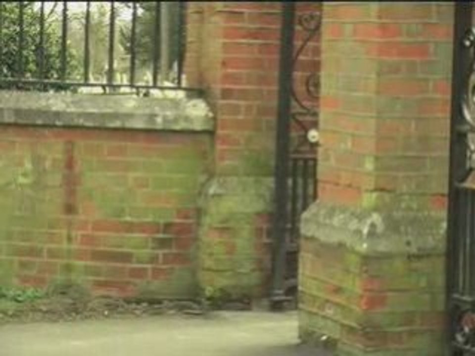 Violation Effect (Directors Cut).