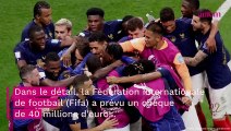 Coupe du monde 2022 : l’énorme prime que vont toucher les Bleus en cas de victoire