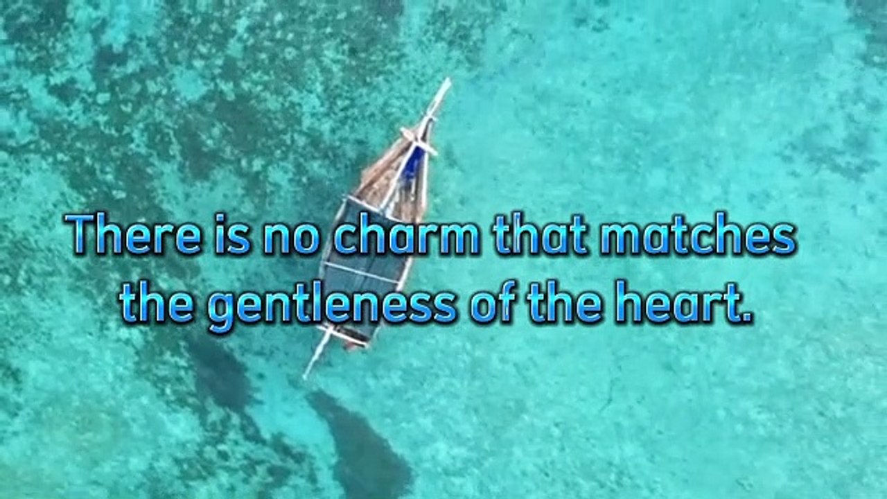 no need for words that matter real evidence Video Dailymotion