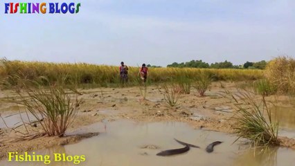 Fishing video of Indian village life || Fishing blogs