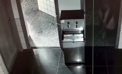 Câmera flagra ladrão vestido com calcinha furtando escola no DF; vídeo