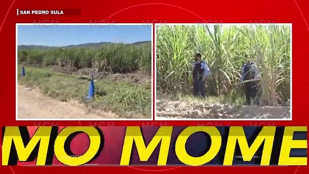 ¡Ejecutado a golpes hallan a un hombre en cañeras de Villanueva, Cortés!