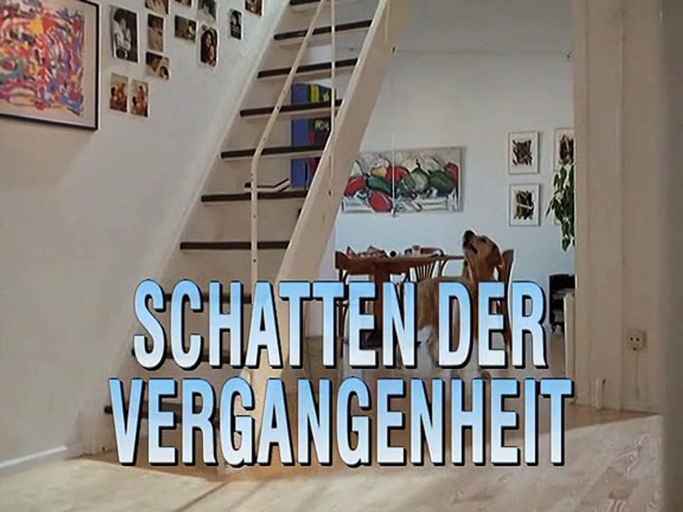 Die Kommissarin Staffel 1 Folge 8