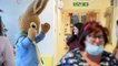 Peter Rabbit visits children in Blackpool Victoria Hospital