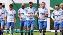 Veja as novidades do Palmeiras