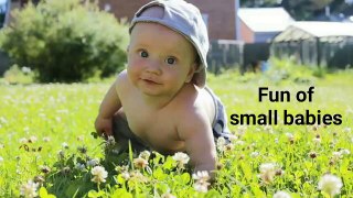 Fun of small babies | Baby fun | Funny video | funny content