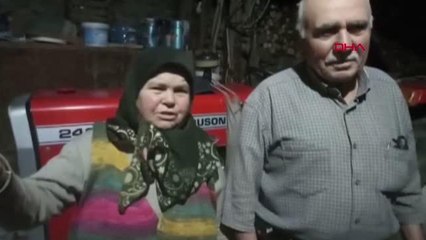 'UMRE' İÇİN BİRİKTİRDİKLERİ ALTIN VE PARAYI DOLANDIRICIYA KAPTIRDILAR