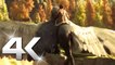 HOGWARTS LEGACY : Gameplay Open World, Hippogriffe et Mage Noire